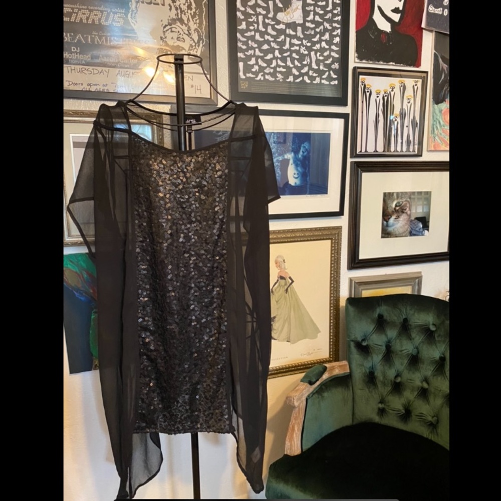 sheer isabel toledo top